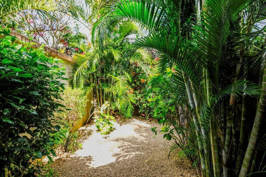 Villa Tropicale Balinaise Intimiste غراند بايَ المظهر الخارجي الصورة